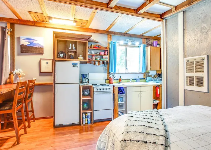 Quaint Ashford Studio Stay 5 Mi To Mt Rainier!